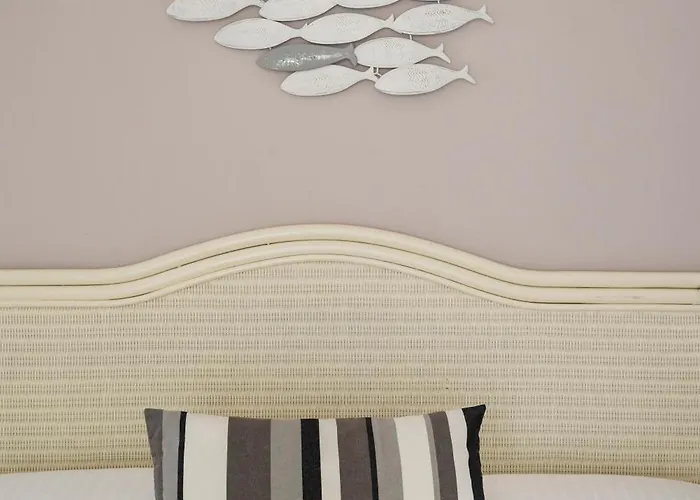 Roxy & تْشيزيناتيكو