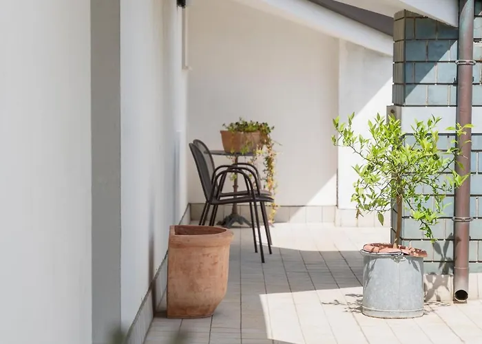 Roxy & 3* تْشيزيناتيكو